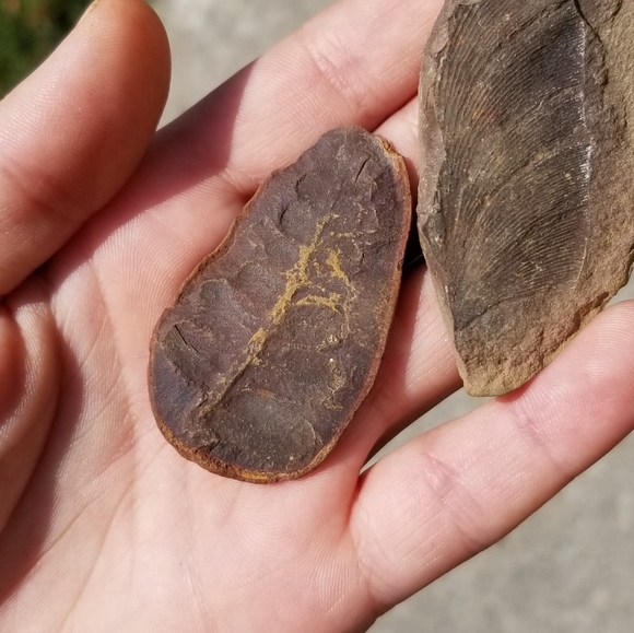 Meet your Posher, Sarah - Picture 3 of 6